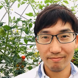 武田健太 | TAKEDA HARVEST