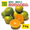 実りの秋到来！宮崎県産・極早生「にちなんみかん」
