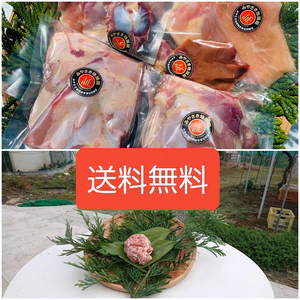 送料無料‼半身骨付きぶつ切りともも身むね身セットとミンチ（分量タイプあります。）