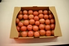 【超お買い得】浅井農園の規格外大玉トマト約4kg入り