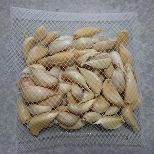 ニンニク ガーリック 無農薬 無肥料 100g　８月中+10g