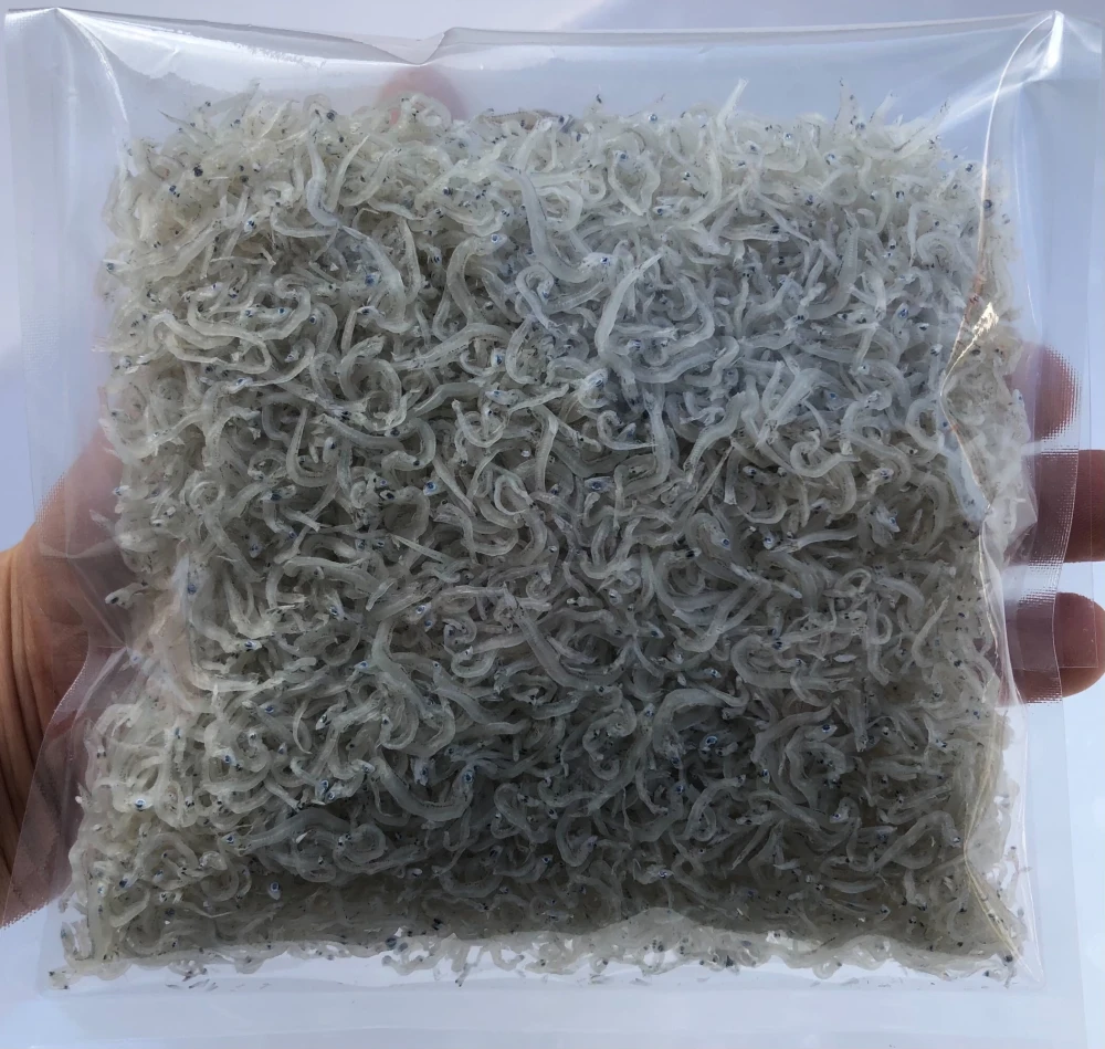  数量限定❕食べ方色々♪しらすの小中サイズ詰め合わせ