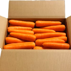 人参嫌いのお子様におすすめ！フルーツにんじん 【有機JAS認証】