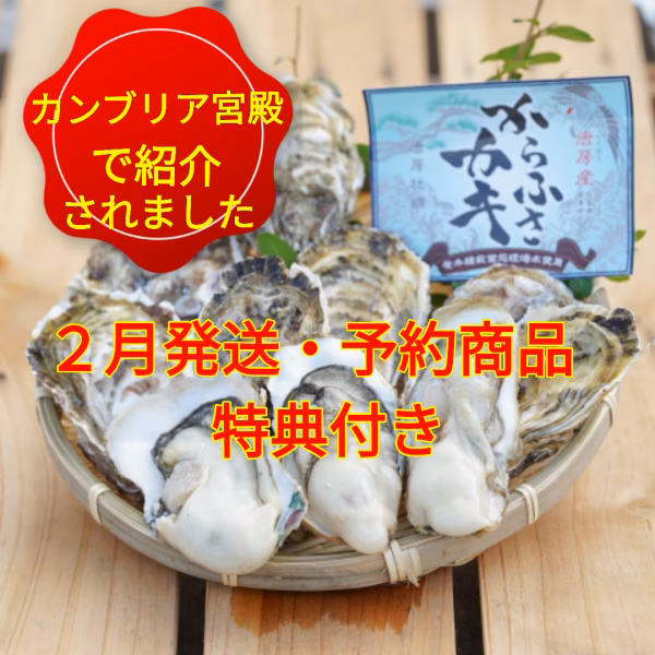 カンブリア放送記念㊗️予約商品・2月発送【特典付き】