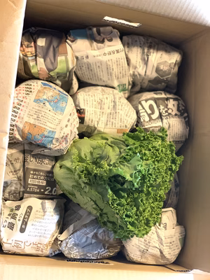 みんなの投稿の画像