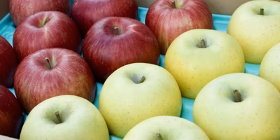 ひと箱に2種類以上🍎🍏うれしい「食べ比べ」セットは欲張りさんにおすすめ！