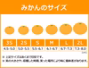 ◆和歌山県産みかん 農薬不使用 中生 ◆