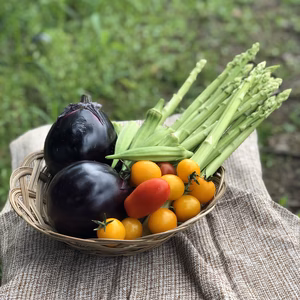 会津産　佐瀬農園の笑顔になる野菜セット✨