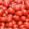 数量限定　500g高糖度・高リコピンミニトマト　シュガープラム(300063)