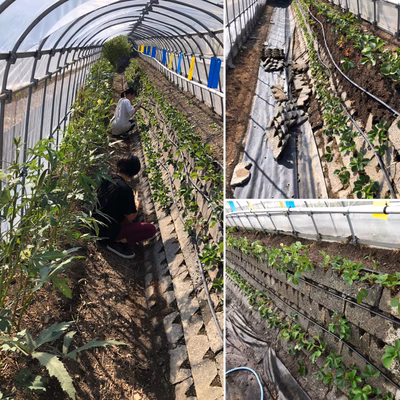 みんなの投稿の画像