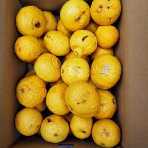 はるか  ジュ－ス・ジャム用　箱込み４.5K・8K