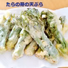 《予約受付》採れたて山菜天然たらの芽  天ぷら・パスタ等で