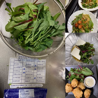 みんなの投稿の画像