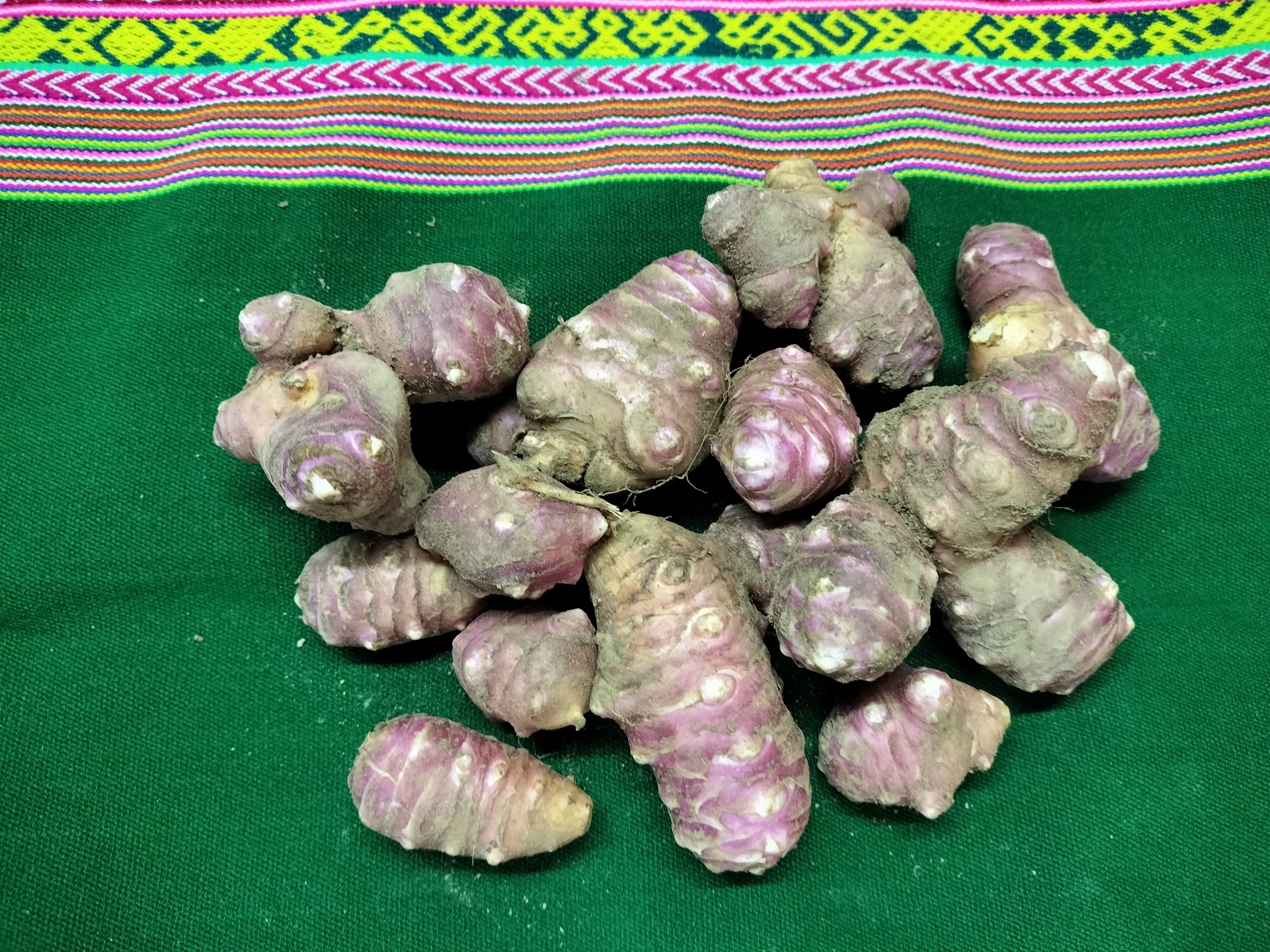 菊芋の通販・お取り寄せ商品｜野菜｜ポケットマルシェ｜産地直送で旬の