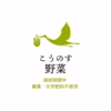 【期間限定】葉付き新玉ねぎ 農薬・化学肥料不使用