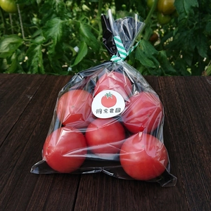 朝倉さんちの完熟フルーツトマト