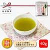 【送料無料】粉末べにふうき／40g 春の季節に 松田製茶 お茶 POD-004