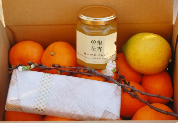 日本蜜蜂の蜜ろう＆西洋ミツバチのはちみつ（百花）福袋限定みかんとレモン入り