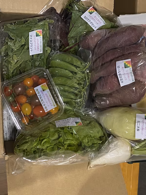 みんなの投稿の画像