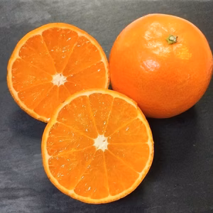 鹿児島県枕崎市産【完熟たんかん】