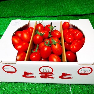 【祝400注文記念✨数量限定大特価❣】ミニトマト食べくらべセット!!