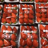 家庭用 石垣イチゴ 270gパック 春
