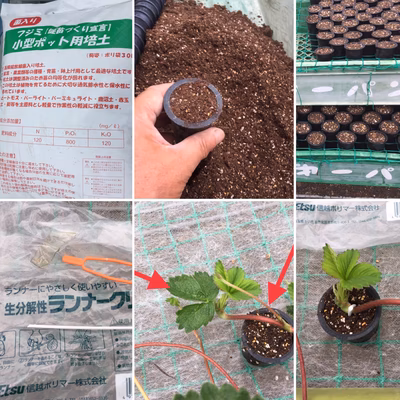 みんなの投稿の画像