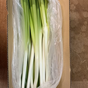 【期間限定】とろける甘さ、雪中ミニ軟白ネギ