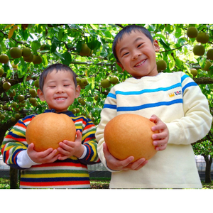 【梨一筋60年】二代目川添果樹園のKINGなあたご梨　約2.5kg(2個)