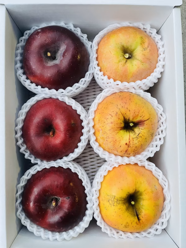 【ご家庭用＆訳あり】りんご こうみつ＆ムーンルージュ