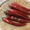 韓国唐辛子 