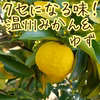 くせになる味！温州みかん＆ゆず