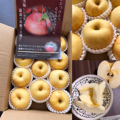 みんなの投稿の画像