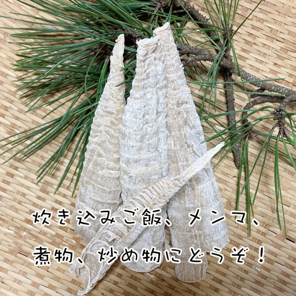 完売【送料無料・プレゼント付き】タケノコ（淡竹)の塩漬け200g+α