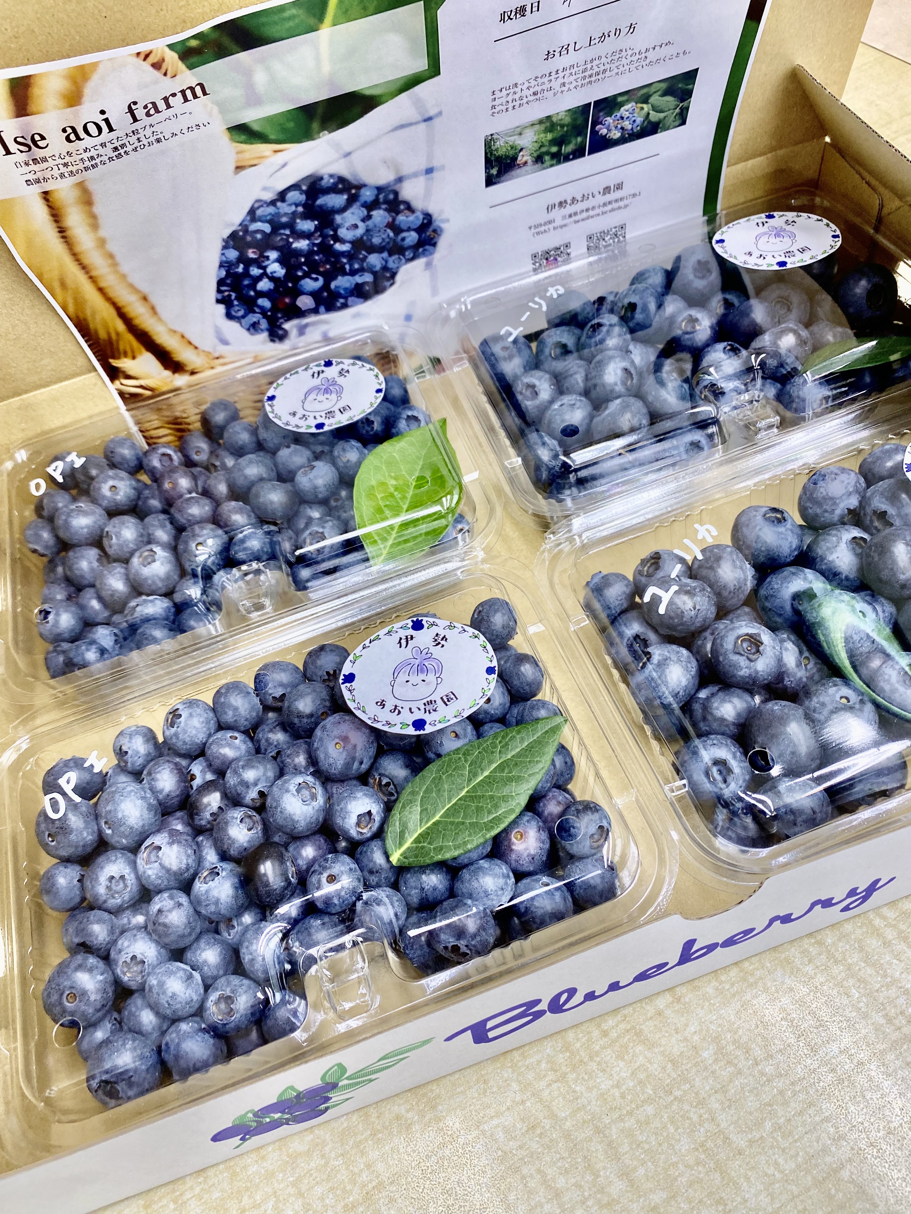 最大72％オフ！ ブルーベリー3.0kg無選別 バラ クール便 i9tmg.com.br