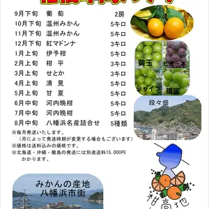 愛媛八幡浜の旬な果物柑橘年間パック