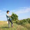 【自然栽培】大きなリーフレタス４玉★ 農薬・肥料不使用｜スムージーにも♪