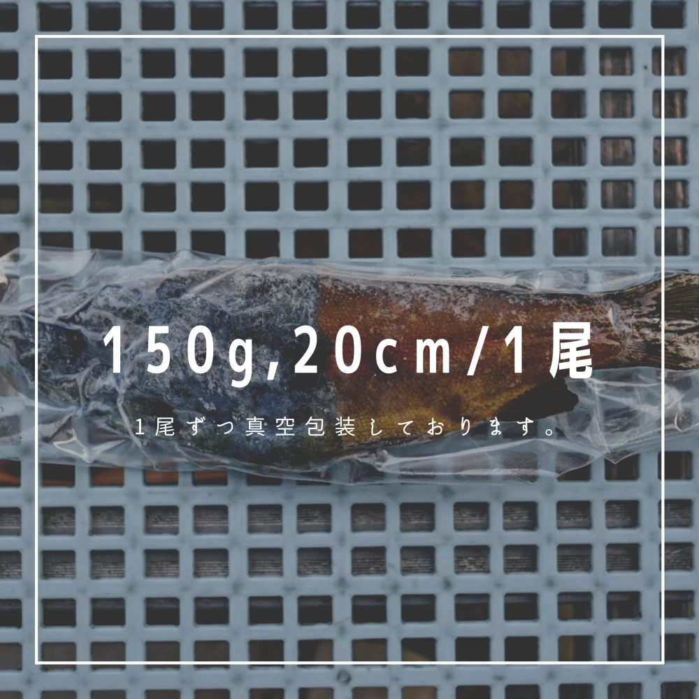 【おつまみにいかが？】頂鱒（イタダキマス）の温燻製