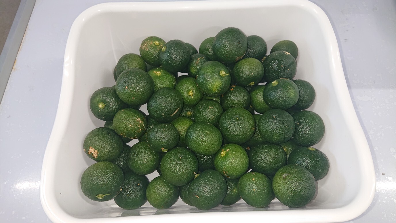 訳アリ青ゆず 1kg~(15~20個前後)本場高知県産! 訳アリ青ゆず玉2kg・30〜40
