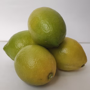 [いわぎ島]レモン 防腐剤 ワックス不使用‼　皮まで丸ごと使える(^^♪　