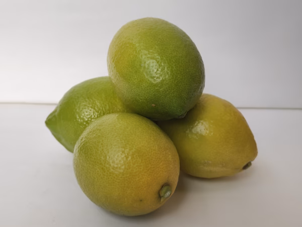 [いわぎ島]レモン 防腐剤 ワックス不使用‼　皮まで丸ごと使える(^^♪　