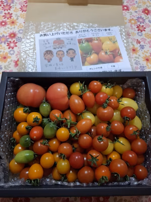 みんなの投稿の画像