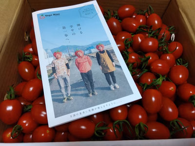 みんなの投稿の画像