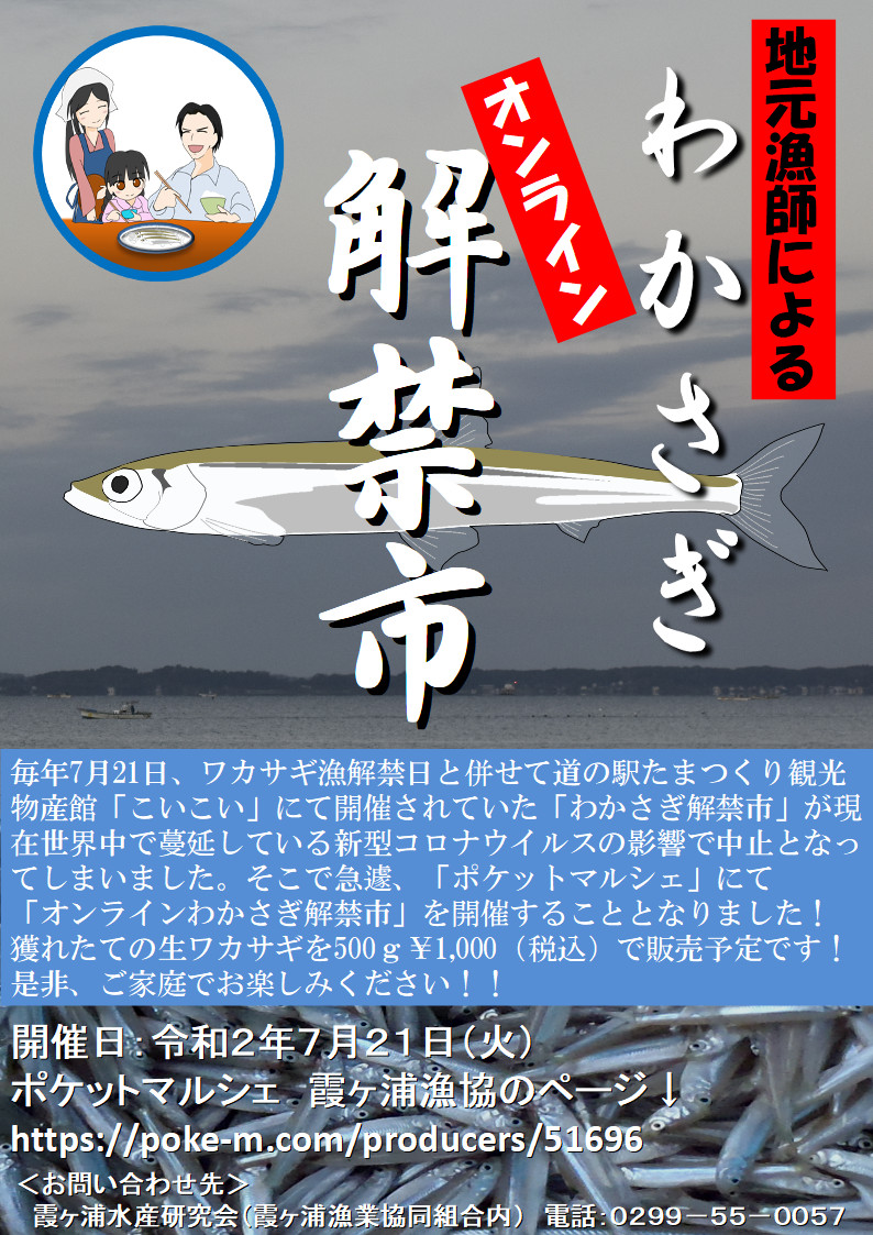 鮮魚 霞ヶ浦のワカサギ 農家漁師から産地直送の通販 ポケットマルシェ