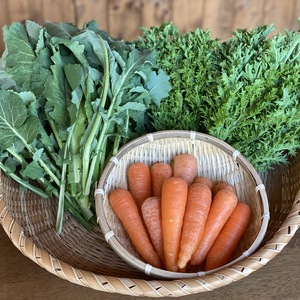 数量限定！平均糖度9度小さめにんじん600g+春野菜(2品)セット【合計3品目】