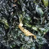 50％OFF訳あり　塩蔵わかめ 塩蔵ワカメ 2ｋｇ～10ｋｇ松島牡蠣屋　宮城県産