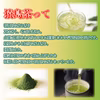 【送料無料】深むしくき茶／100g お茶 猿島茶 香り茎の香り LEF-010