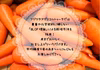 【完熟掘り！平均糖度9度】不揃い9.5kg　皮ごとOK！生でも甘い美味しい人参