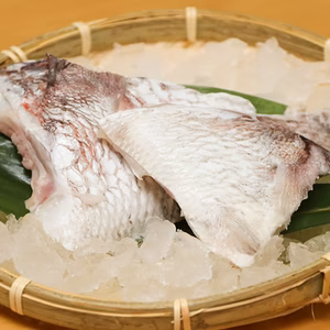 【ツウが選ぶ部位No.1】天草産 旨味ぎっしり！真鯛のカマ《特殊冷凍》