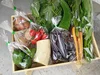 【月１コース】季節の露地野菜セット・無農薬・無化学肥料